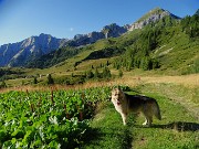 07 Da sx Pegherolo (2369 m) , Cavallo  (2323 m)